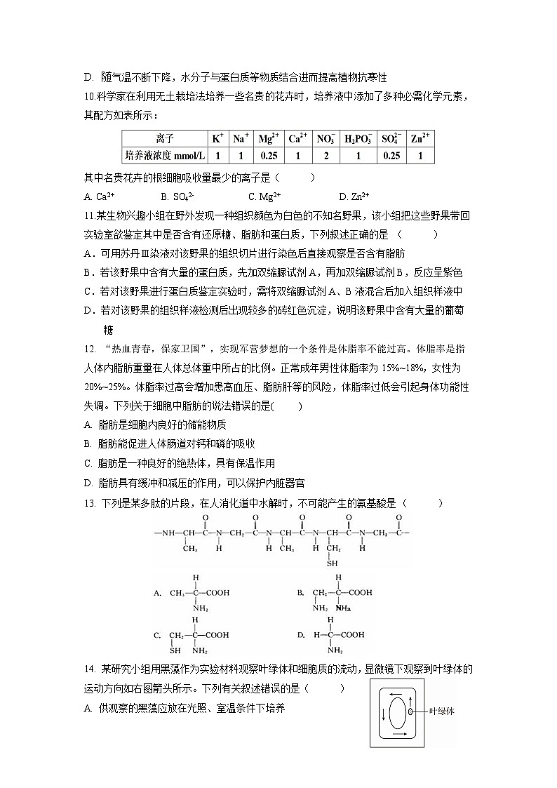 云南省玉溪市一中2022-2023学年高一上学期期中考试生物试题 Word版含答案第3页