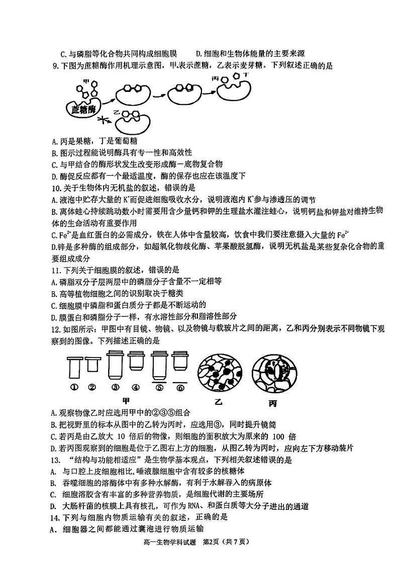 浙江省温州新力量联盟2022-2023学年高一上学期期中联考生物试题第2页