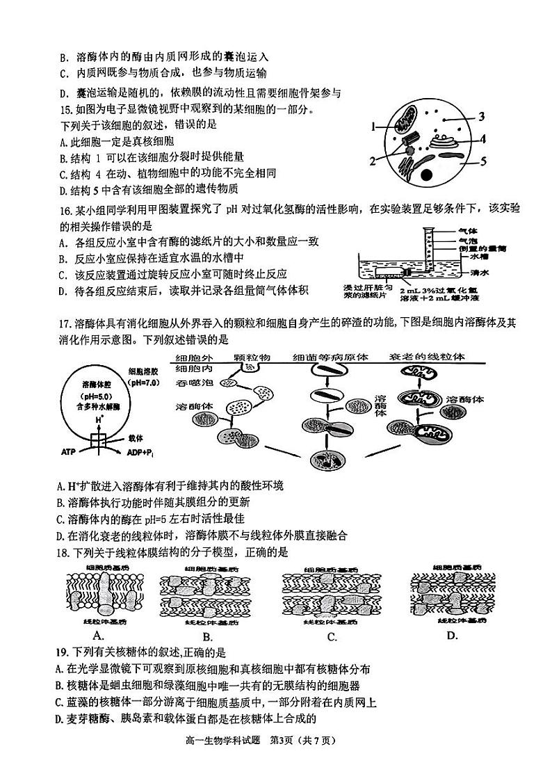 浙江省温州新力量联盟2022-2023学年高一上学期期中联考生物试题第3页