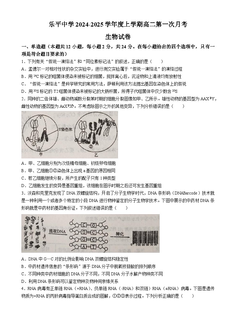 江西省景德镇市乐平市乐平中学2024-2025学年高二上学期9月月考生物试题第1页