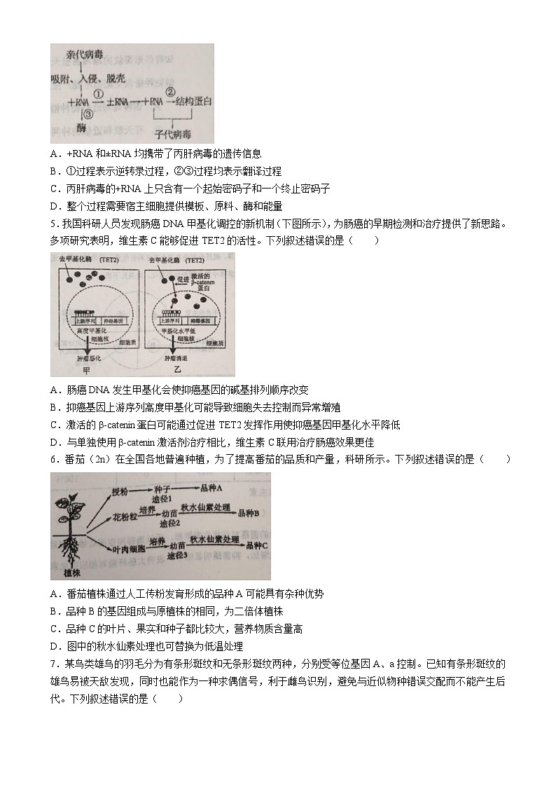 江西省景德镇市乐平市乐平中学2024-2025学年高二上学期9月月考生物试题第2页