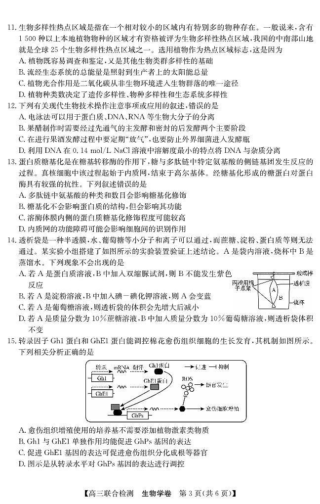 广东省八校2024-2025学年高三上学期9月联合检测生物试卷第3页