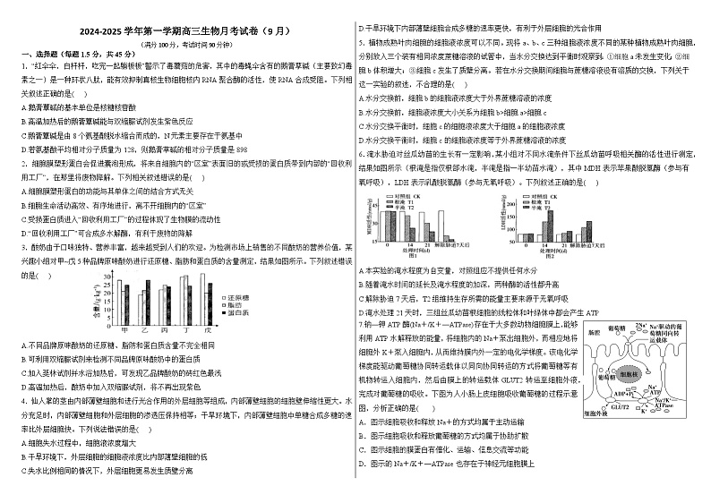新疆维吾尔自治区石河子第一中学2024-2025学年高三上学期9月月考生物试题01