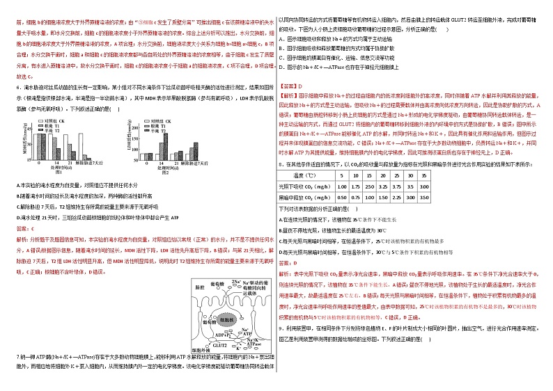 新疆维吾尔自治区石河子第一中学2024-2025学年高三上学期9月月考生物试题02