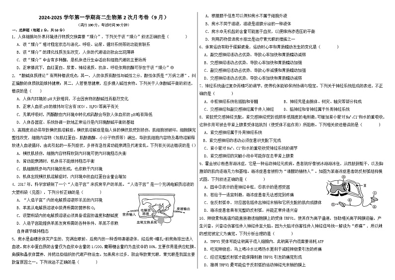 新疆维吾尔自治区石河子第一中学2024-2025学年高二上学期9月月考生物试题01