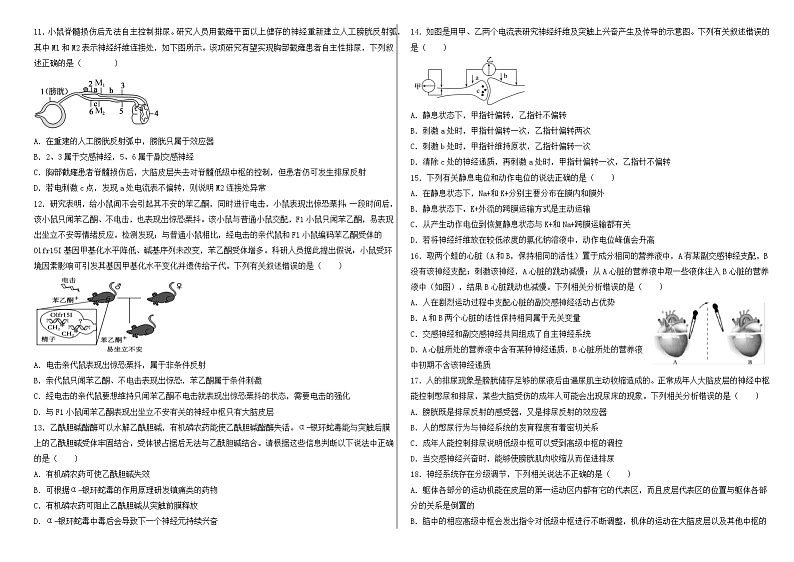 新疆维吾尔自治区石河子第一中学2024-2025学年高二上学期9月月考生物试题02