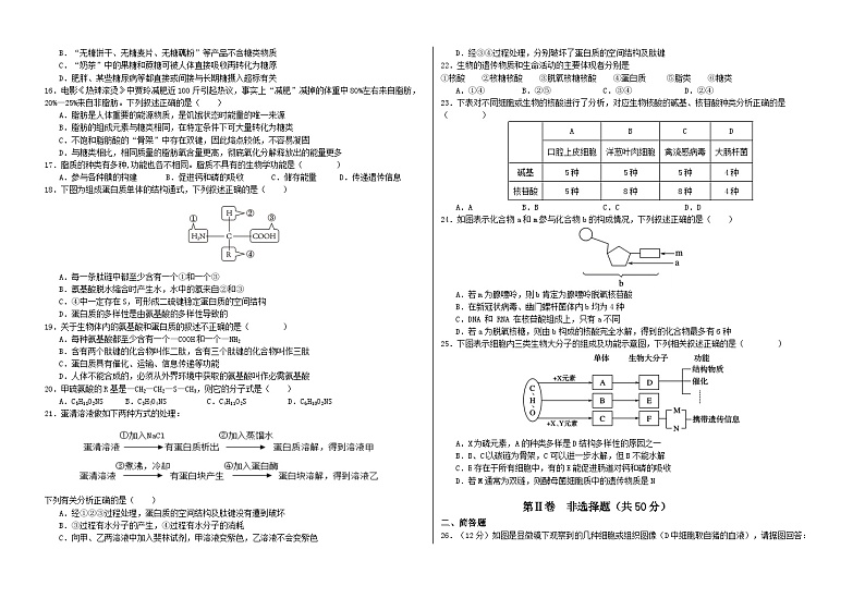 宁夏回族自治区石嘴山市第三中学2024-2025学年高一上学期9月月考生物试题02