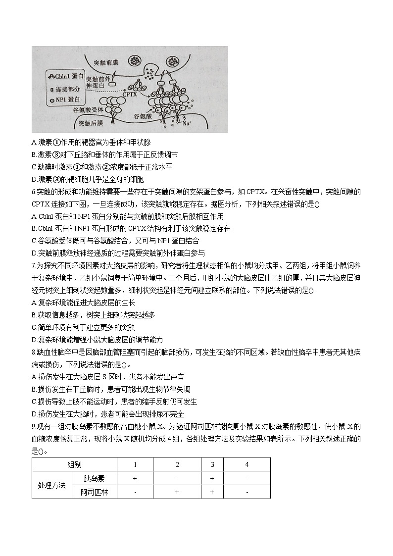 山西高中校联考2024-2025学年高二上学期9月月考生物试题02