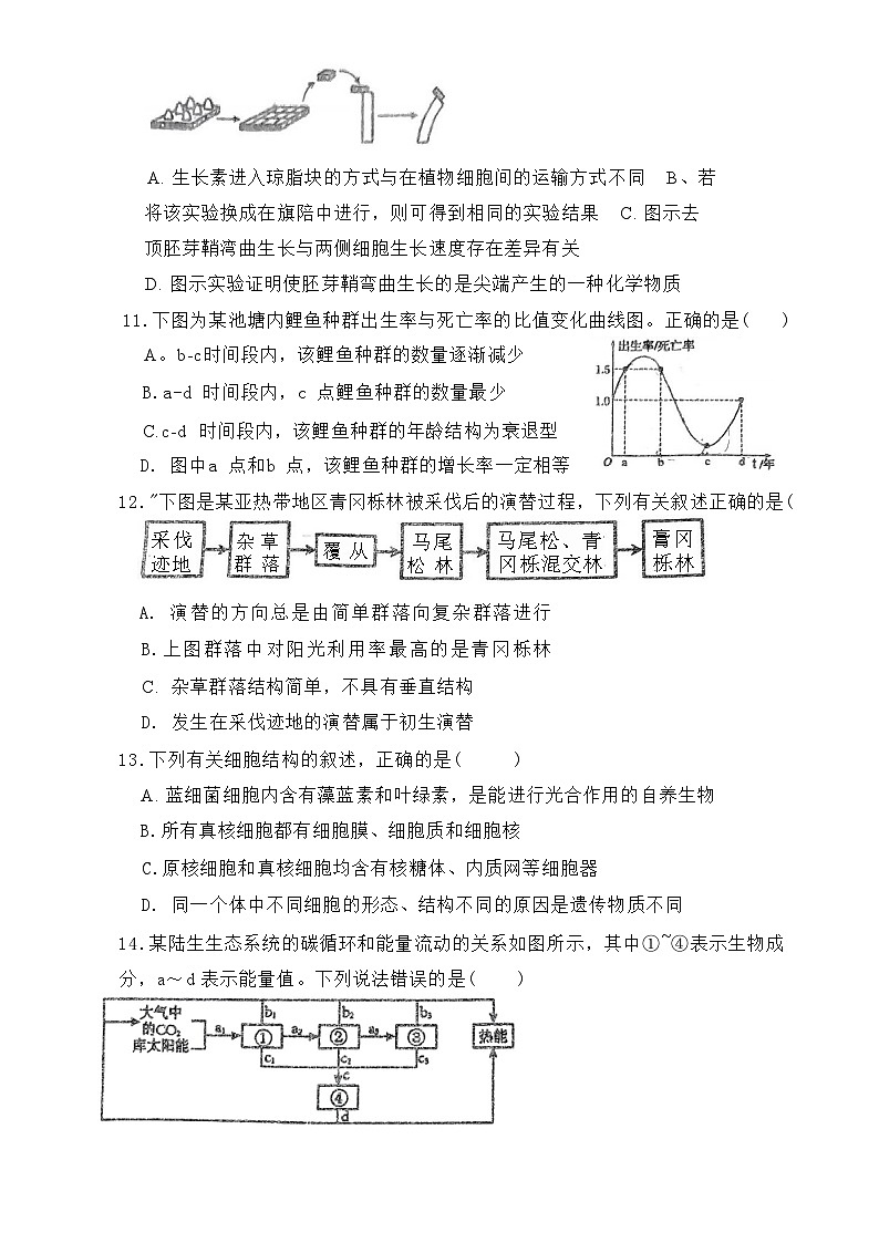 内蒙古自治区赤峰市松山区赤峰市第二实验中学2024-2025学年高三上学期9月月考生物试题03