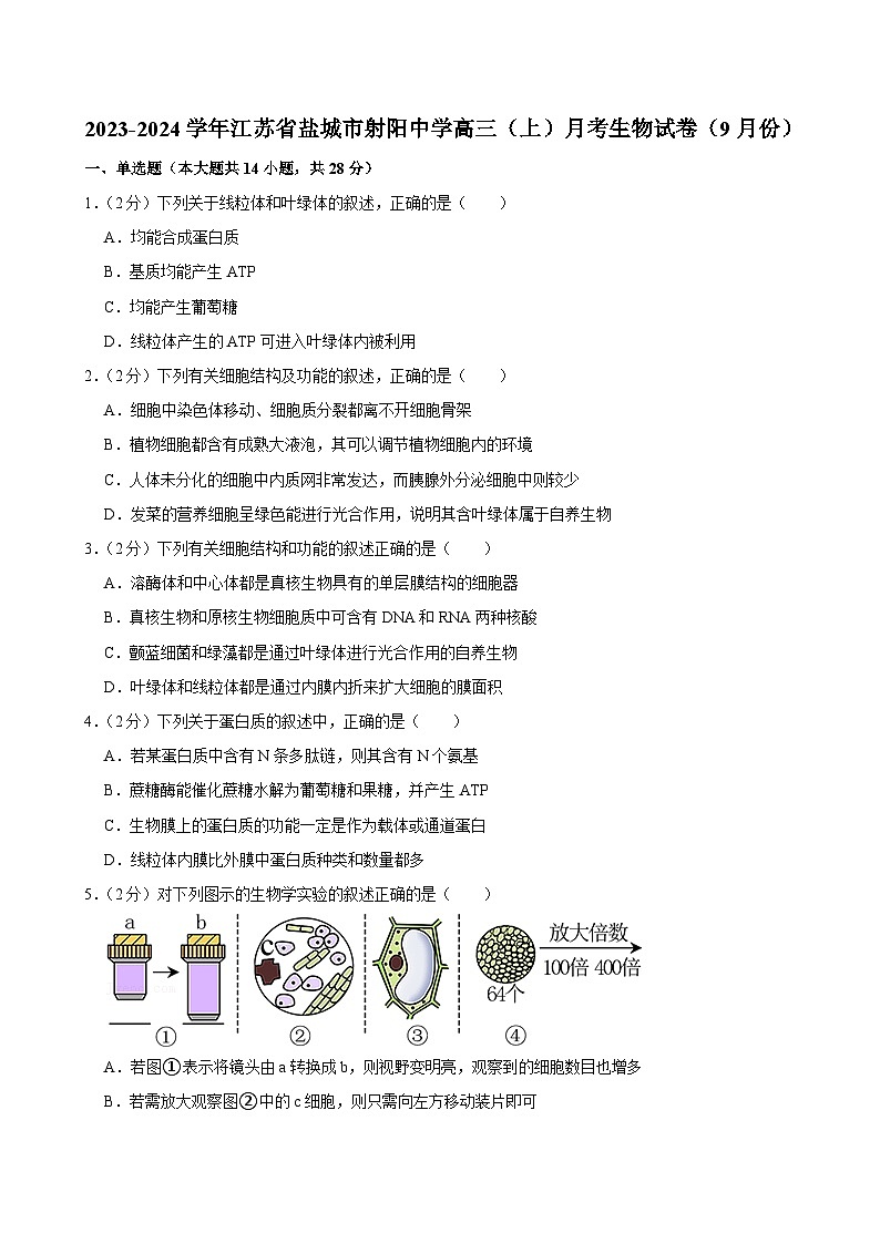 江苏省盐城市射阳中学2023-2024学年高三上学期9月月考生物试卷第1页