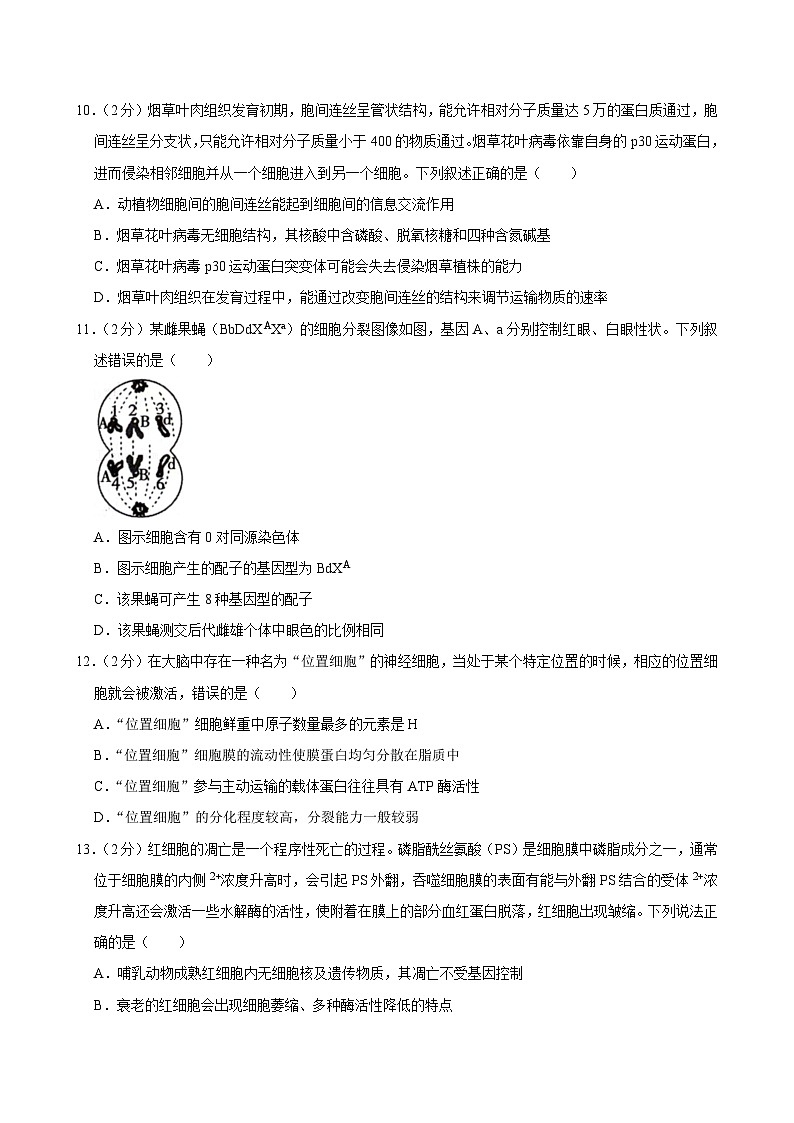 江苏省盐城市射阳中学2023-2024学年高三上学期9月月考生物试卷第3页