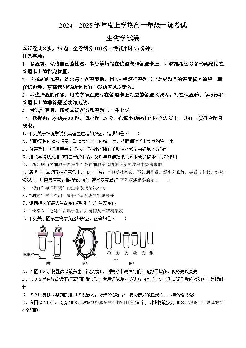 云南省玉溪市元江哈尼族彝族傣族自治县第一中学2024-2025学年高一上学期9月月考生物试题01