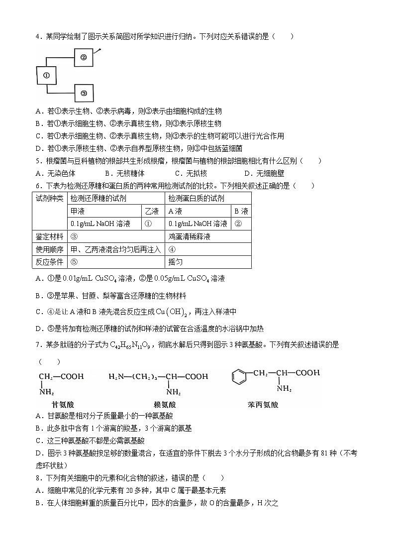 云南省玉溪市元江哈尼族彝族傣族自治县第一中学2024-2025学年高一上学期9月月考生物试题02