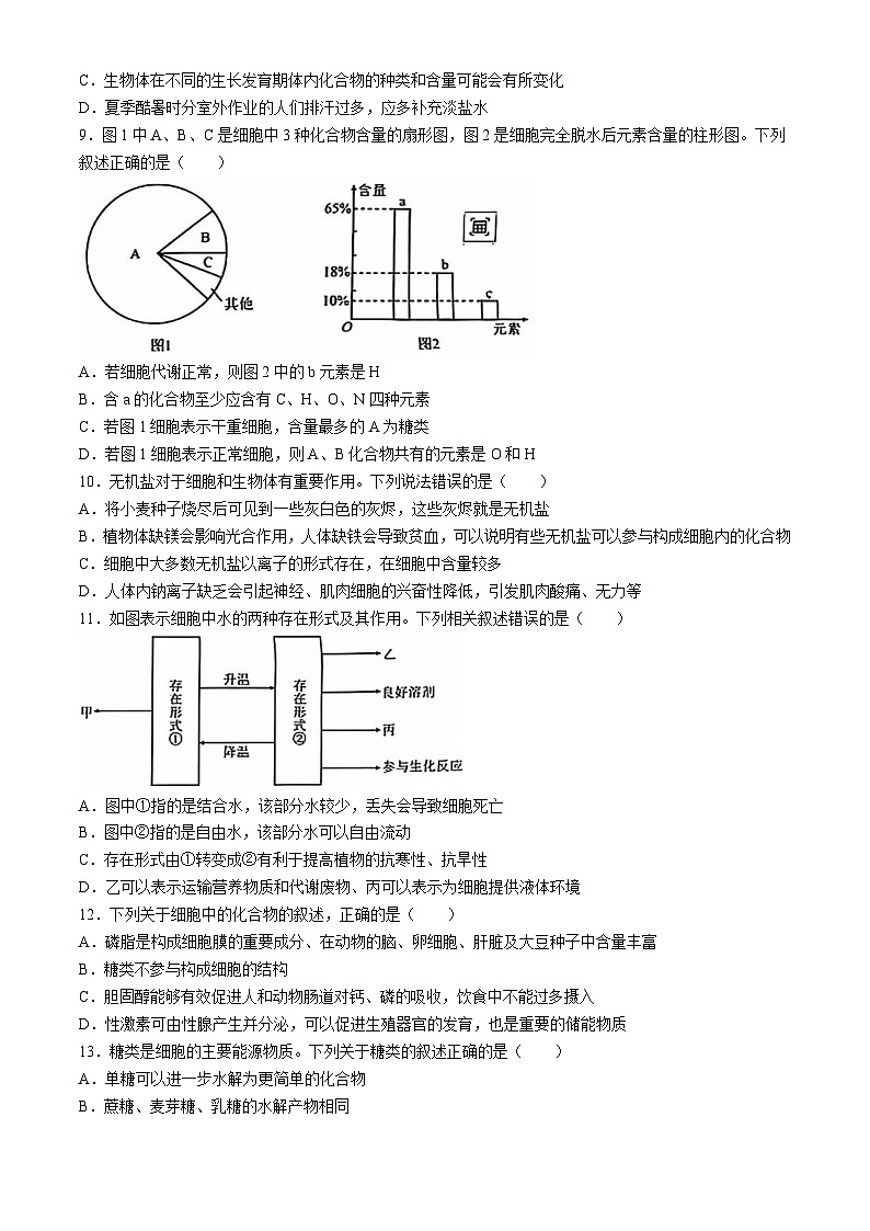 云南省玉溪市元江哈尼族彝族傣族自治县第一中学2024-2025学年高一上学期9月月考生物试题03