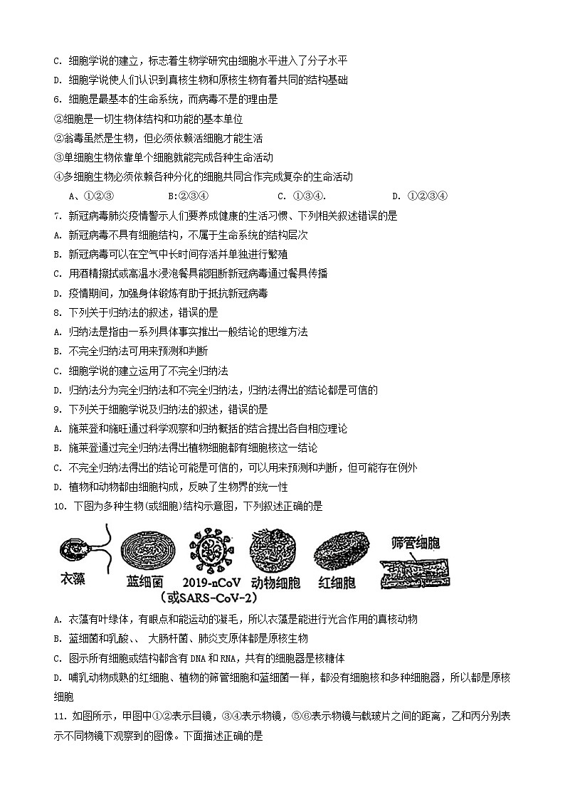 河北省石家庄市第二中学2024—2025学年高一上学期9月月考生物试卷02