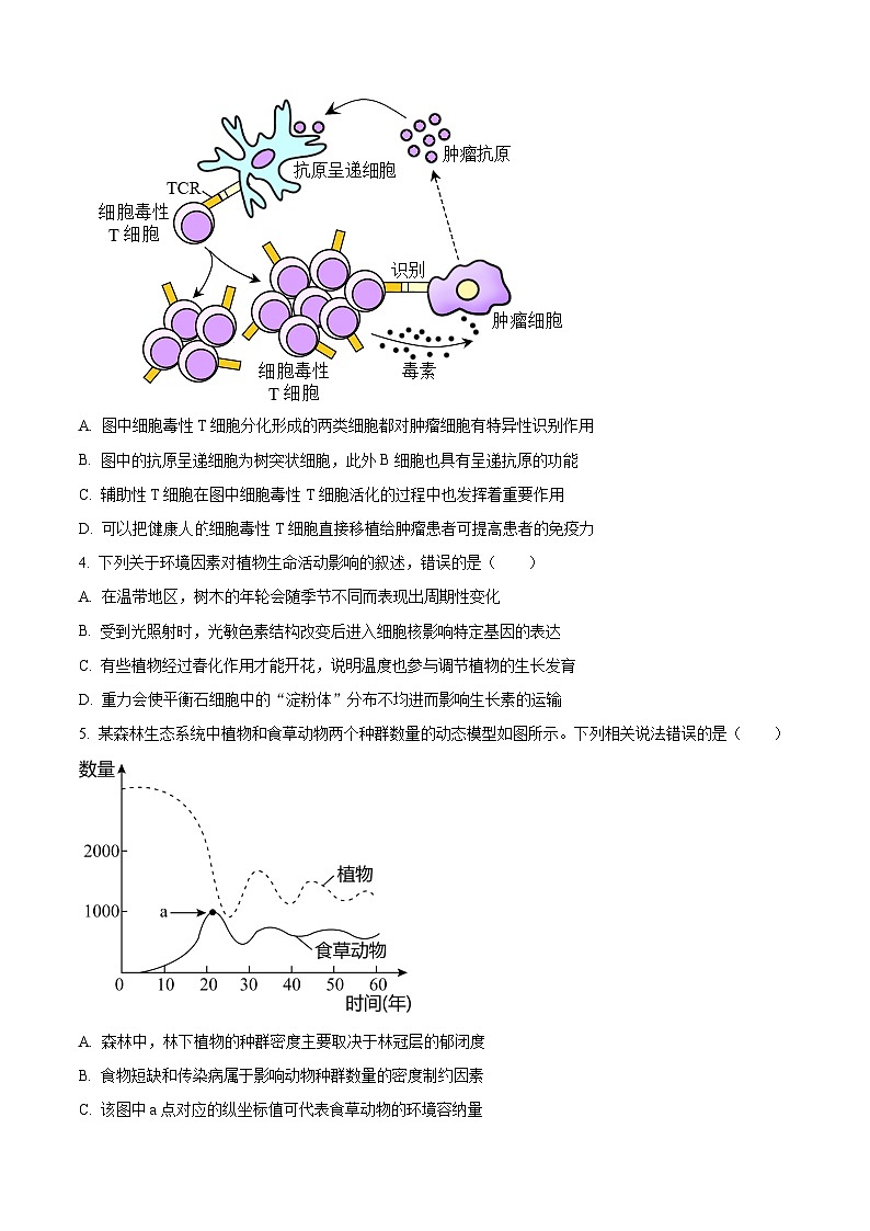 安徽省亳州市2023-2024学年高二下学期7月期末考试+生物试卷（含答案）第2页