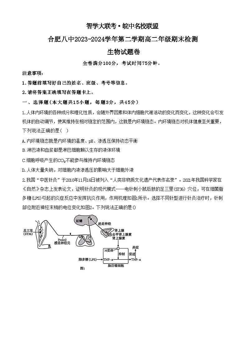 安徽省皖中名校联盟2023-2024学年第二学期高二年级期末检测+生物试卷（含答案）01