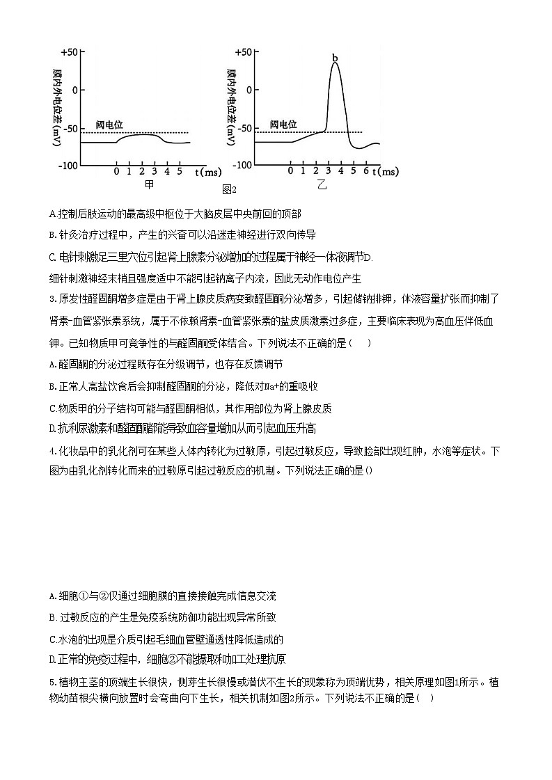 安徽省皖中名校联盟2023-2024学年第二学期高二年级期末检测+生物试卷（含答案）02