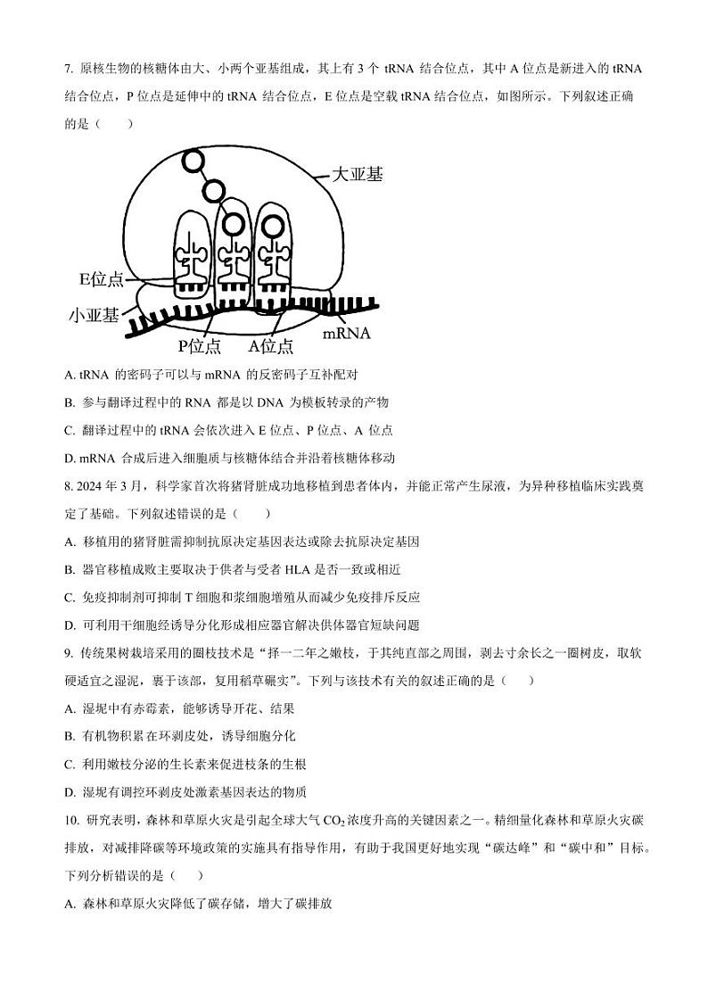广东省惠州市2025届高三第一次调研考试暨惠州高二期末考试+生物第3页
