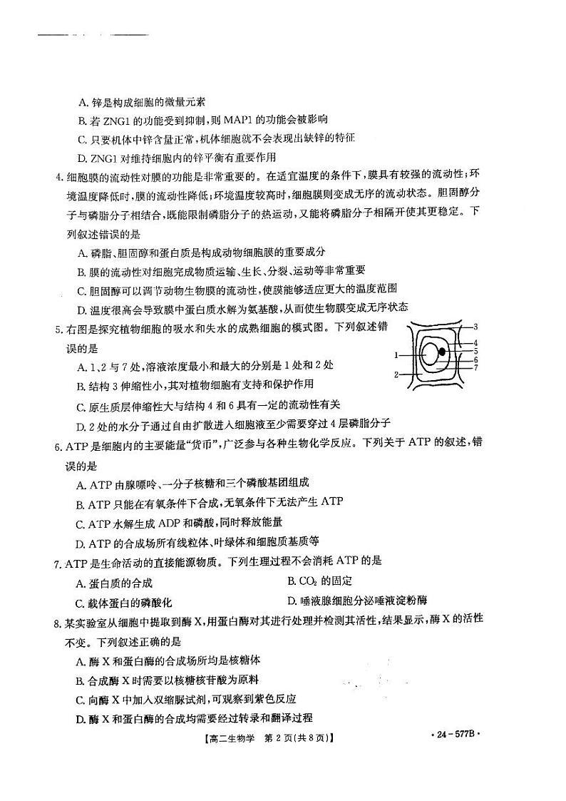 河北省承德市2023-2024学年高二年级下学期期末考试+生物试卷（含答案）02