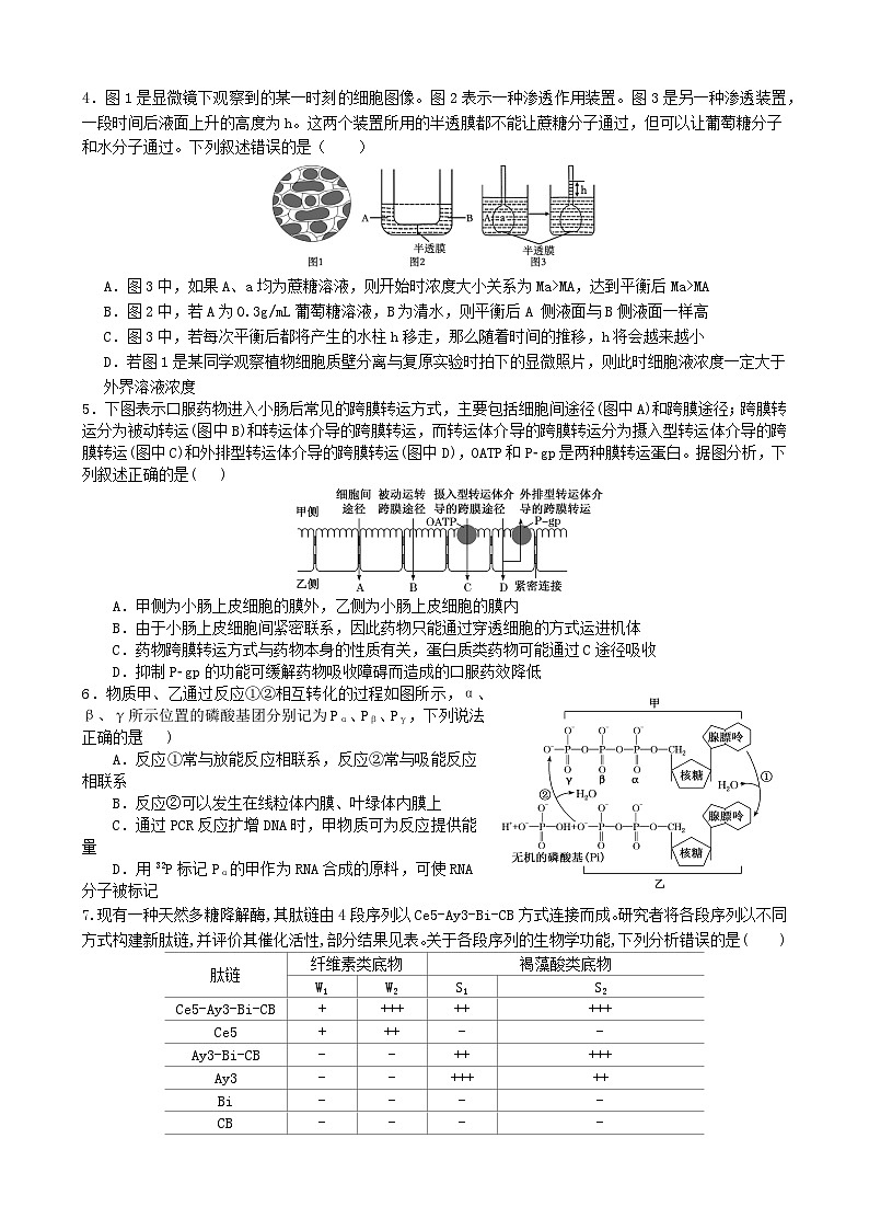 湖南省长沙市同升湖实验学校2024-2025学年高三上学期第二次月考生物试题02