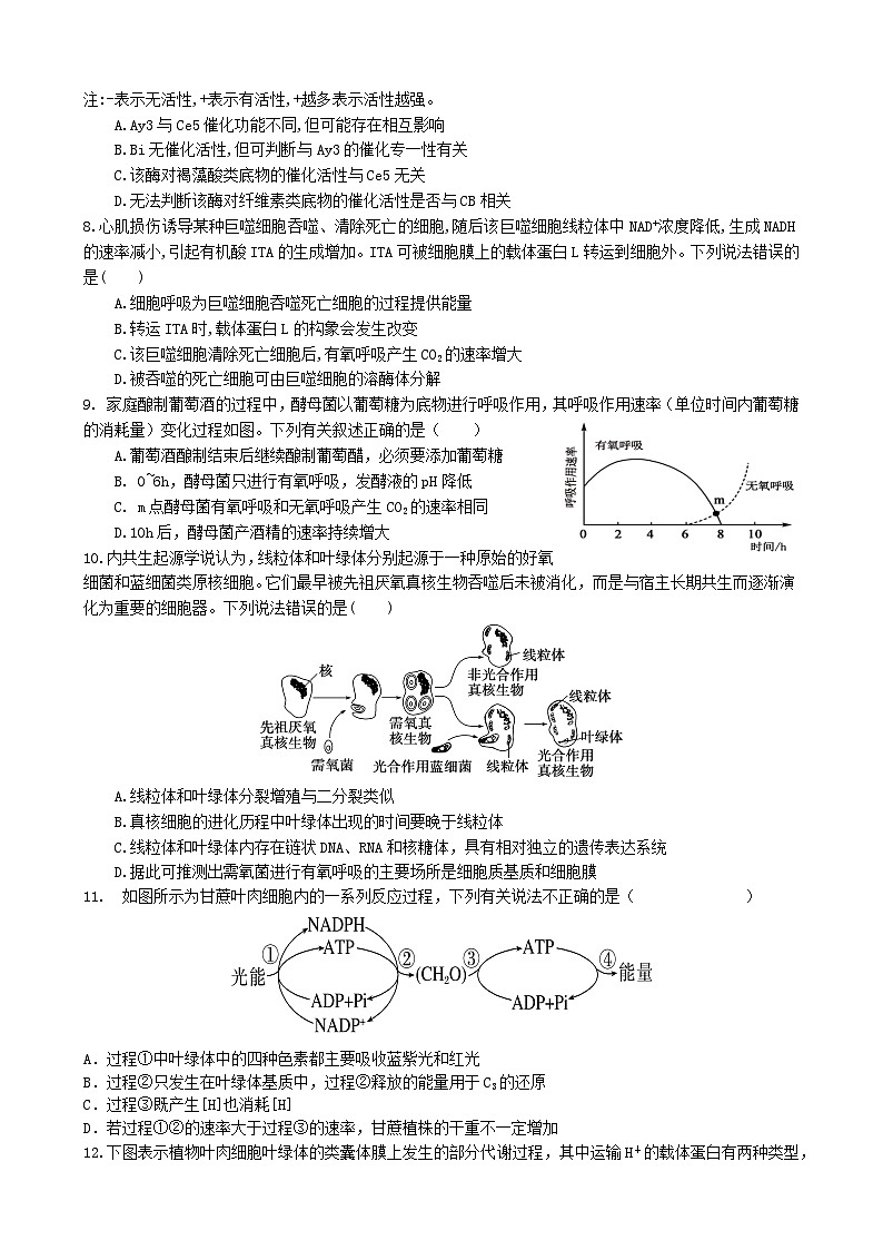 湖南省长沙市同升湖实验学校2024-2025学年高三上学期第二次月考生物试题03
