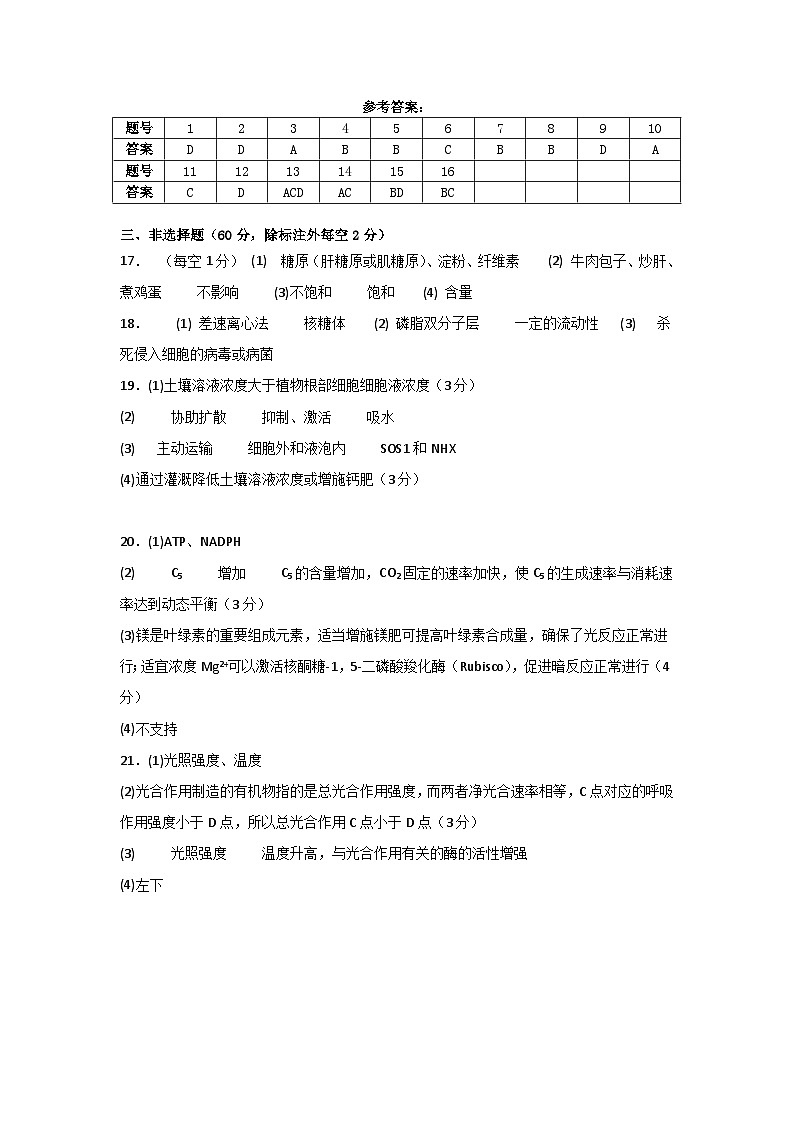 湖南省邵东市创新高级中学2024-2025学年高三上学期第二次月考生物试题01