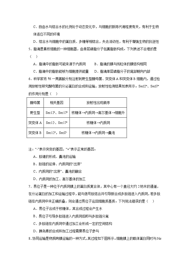 湖南省邵东市创新高级中学2024-2025学年高三上学期第二次月考生物试题02