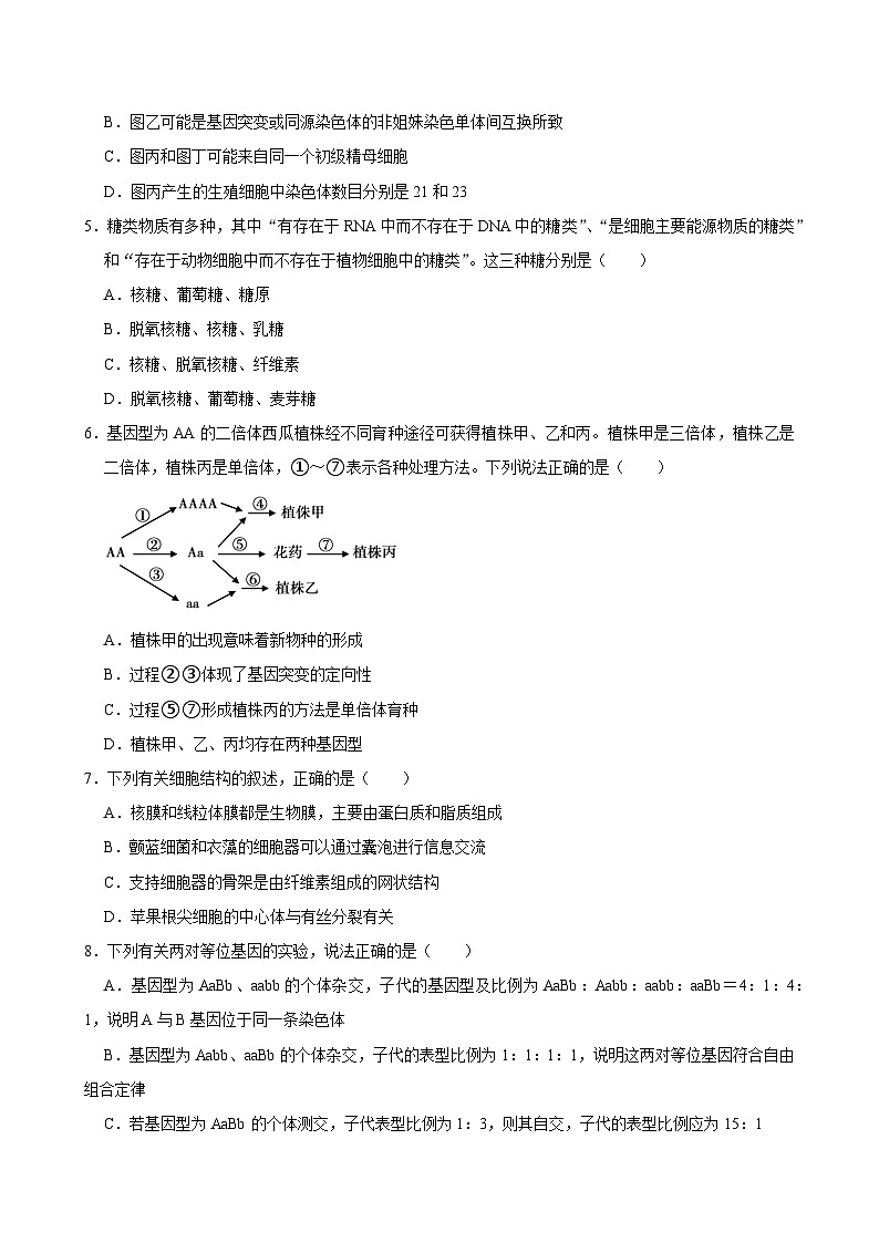 湖南省岳阳市岳阳县第一中学2024-2025学年高三上学期9月月考生物试题02