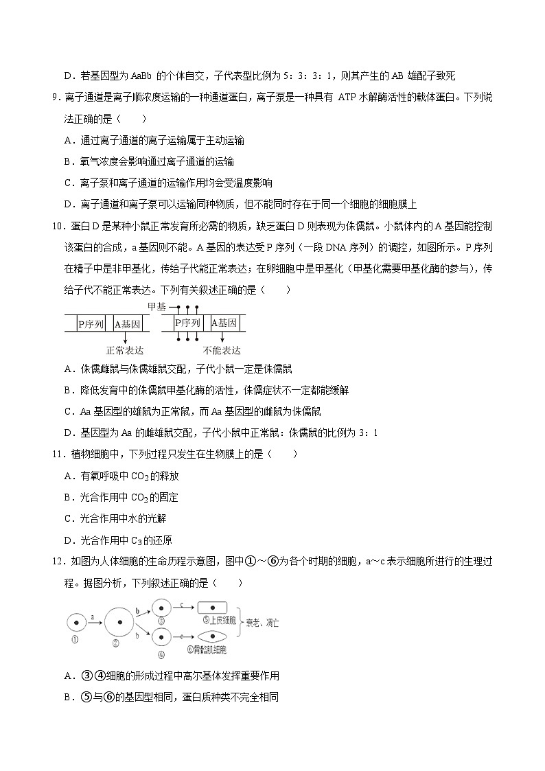 湖南省岳阳市岳阳县第一中学2024-2025学年高三上学期9月月考生物试题03