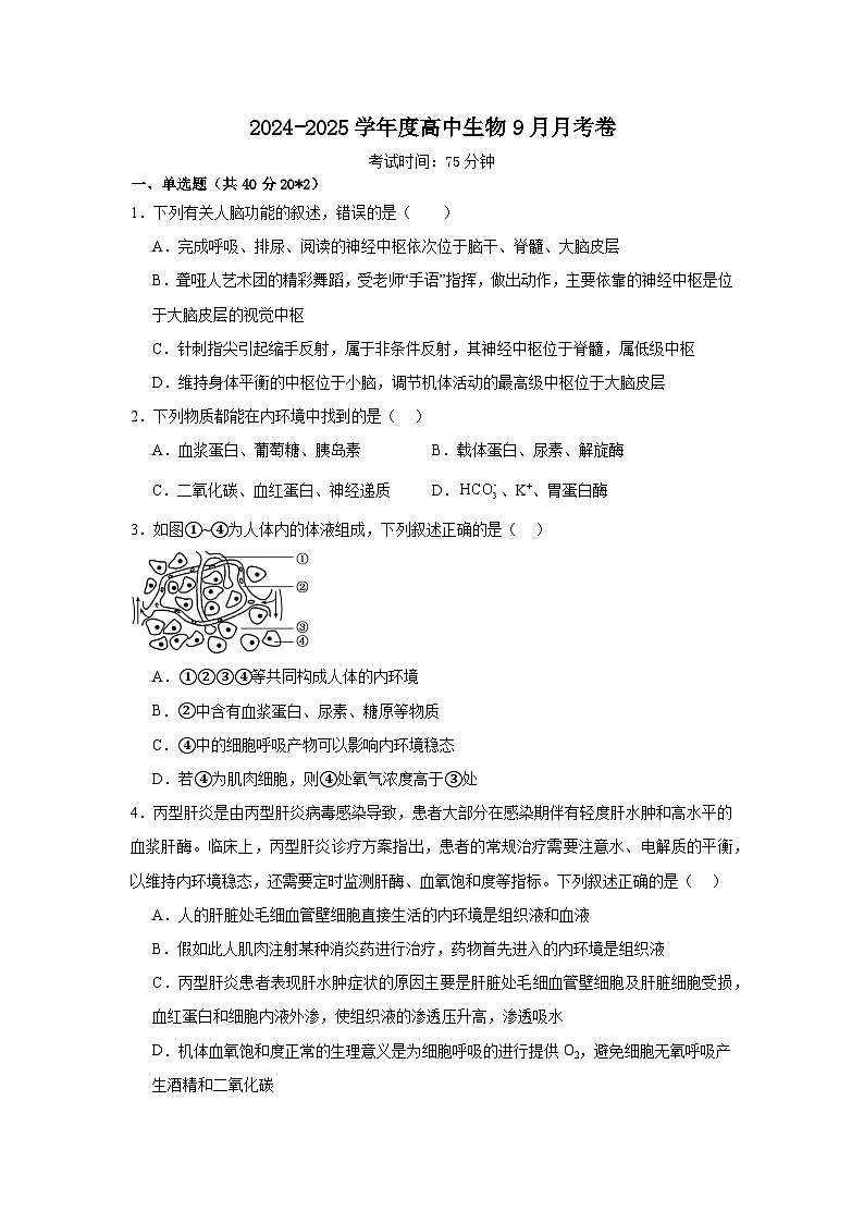 河南省南阳市邓州市春雨国文学校2024-2025学年高二上学期9月月考生物试卷第1页
