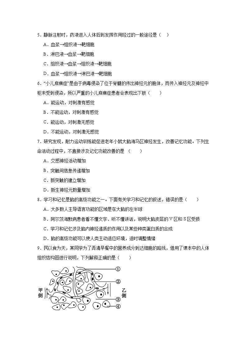 河南省南阳市邓州市春雨国文学校2024-2025学年高二上学期9月月考生物试卷第2页