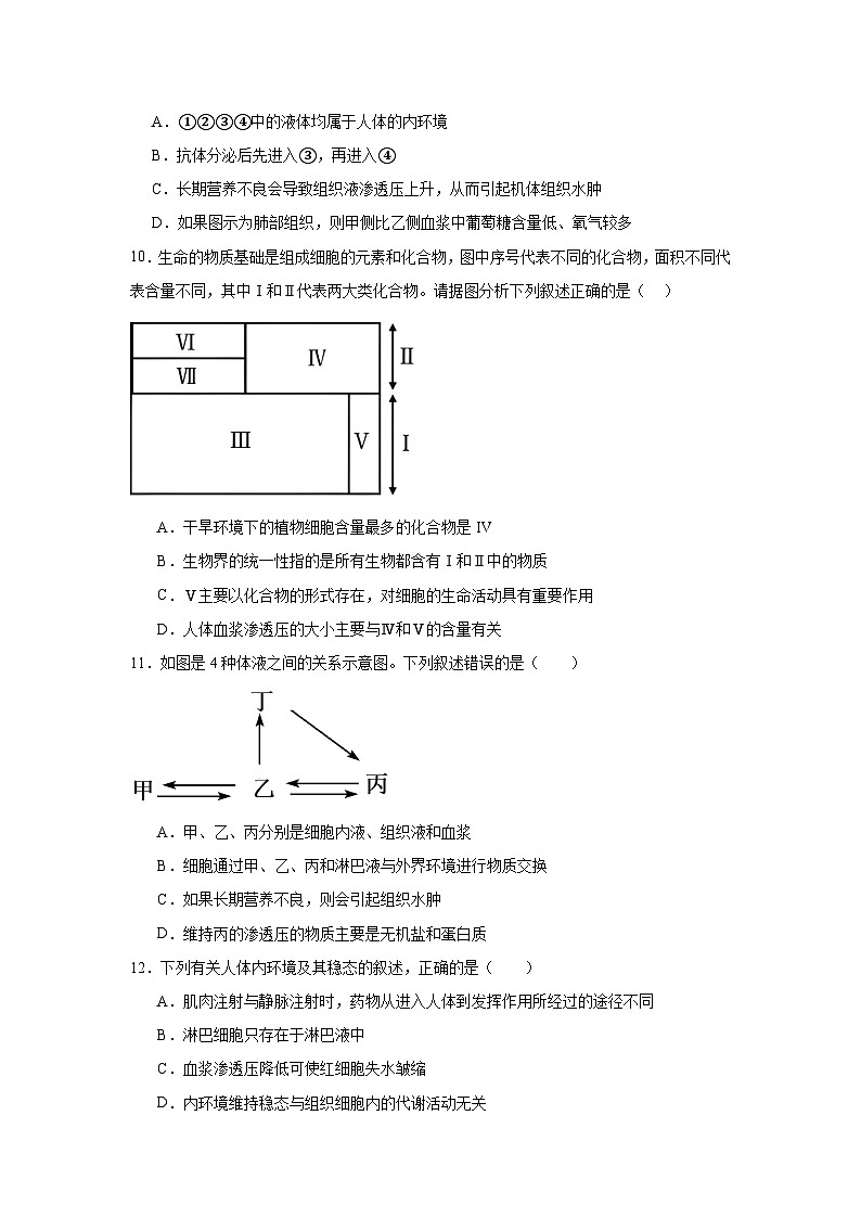 河南省南阳市邓州市春雨国文学校2024-2025学年高二上学期9月月考生物试卷第3页