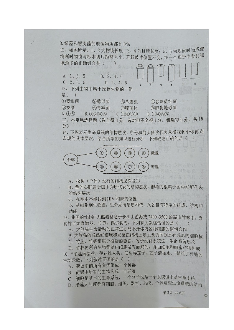 河北省廊坊市广阳区廊坊市第十五中学2024-2025学年高一上学期9月月考生物试题第3页