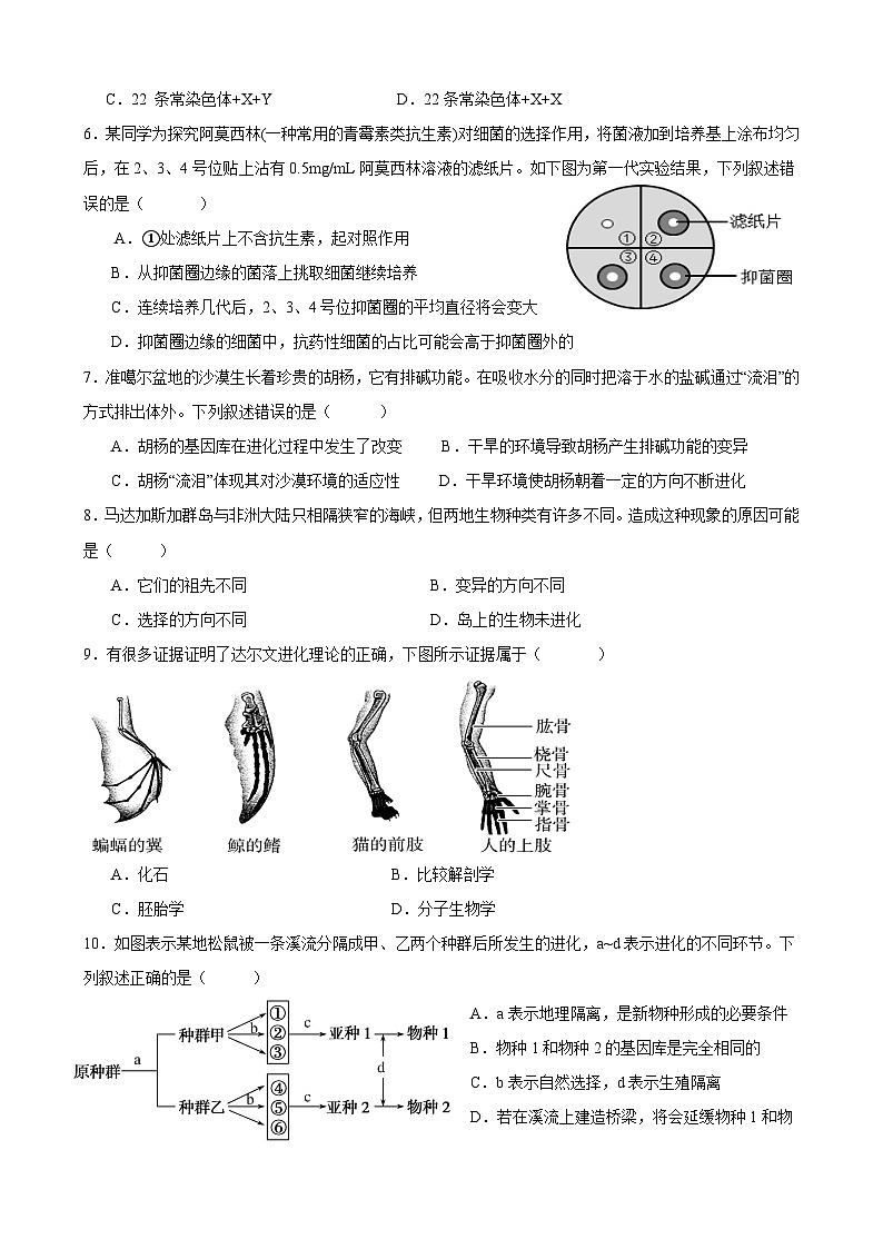 广东省深圳市建文外国语学校2024-2025学年高二上学期9月月考生物试题第2页
