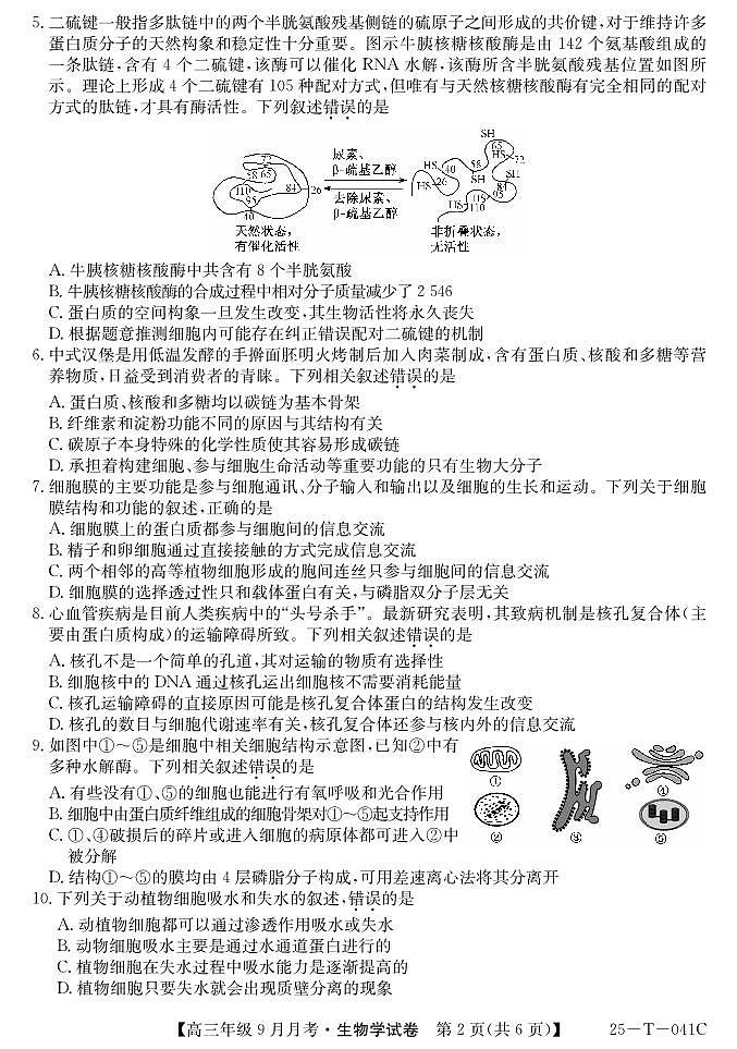 2025届喀什二中9月份月考—生物第2页