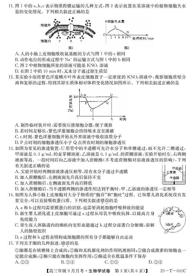 2025届喀什二中9月份月考—生物第3页