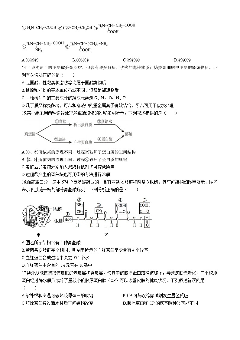 湖北省武汉市第六中学2024-2025学年高一上学期第1次月考生物试题第3页