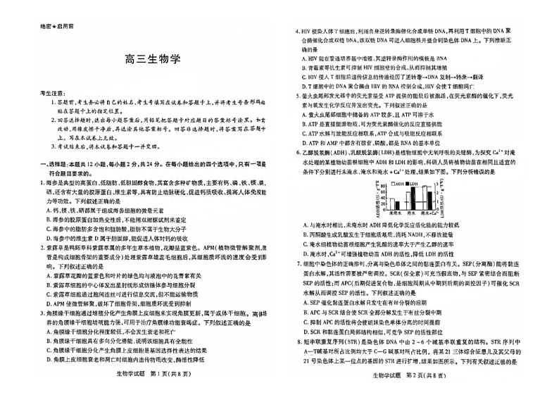 2025湖南省部分学校高三上学期9月联考生物试题01