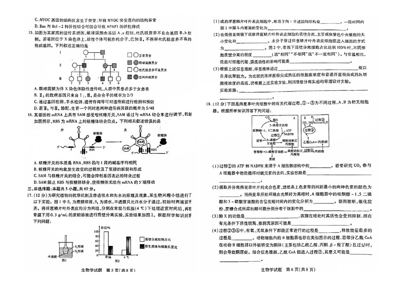 2025湖南省部分学校高三上学期9月联考生物试题03