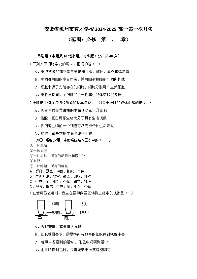 安徽省滁州市定远县育才学校2024-2025学年高一上学期第一次月考生物试题01