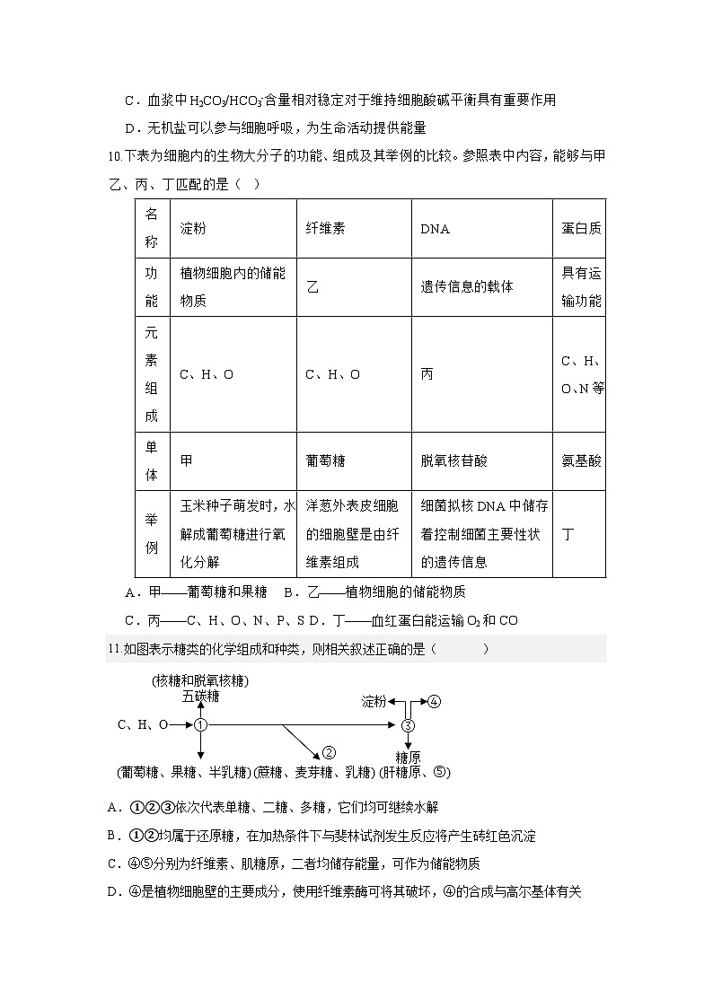 安徽省滁州市定远县育才学校2024-2025学年高一上学期第一次月考生物试题03