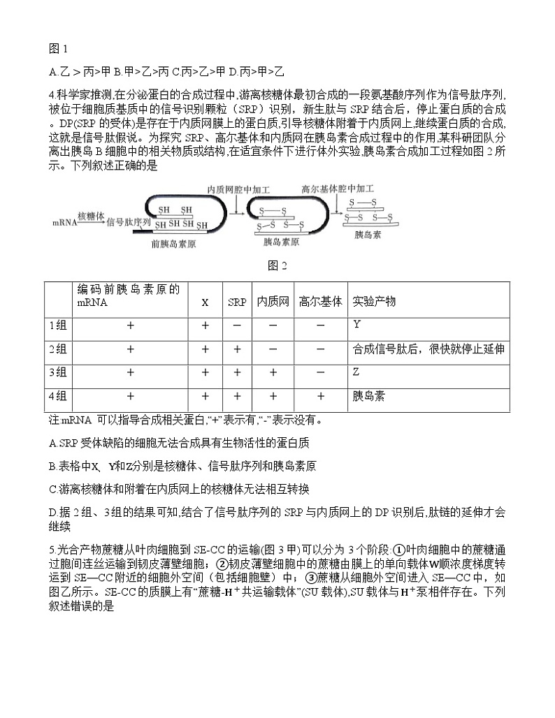重庆市沙坪坝区重庆市第八中学校2024-2025学年高三上学期9月开学考试生物试题第2页