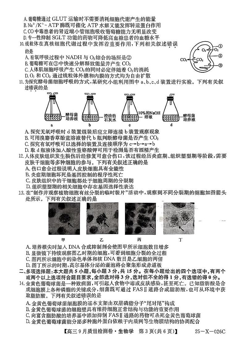 三晋卓越联盟·山西省2024-2025学年度高三9月质量检测+生物试卷第3页