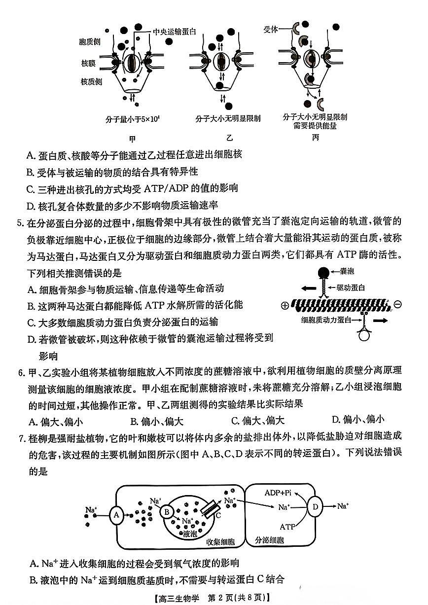 河北省2024-2025学年高三年级上学期9月份考试+生物试卷第2页