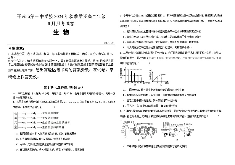 云南省开远市第一中学校2024-2025学年高二上学期9月月考生物试题01