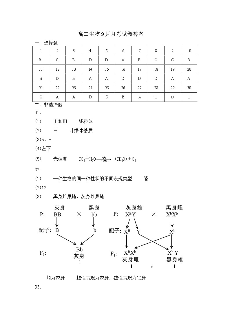 云南省开远市第一中学校2024-2025学年高二上学期9月月考生物试题01