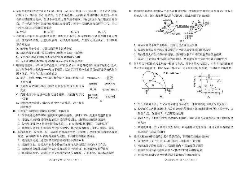 昭通市市直中学2024年秋季学期高二年级第一次月考生物-试卷第2页