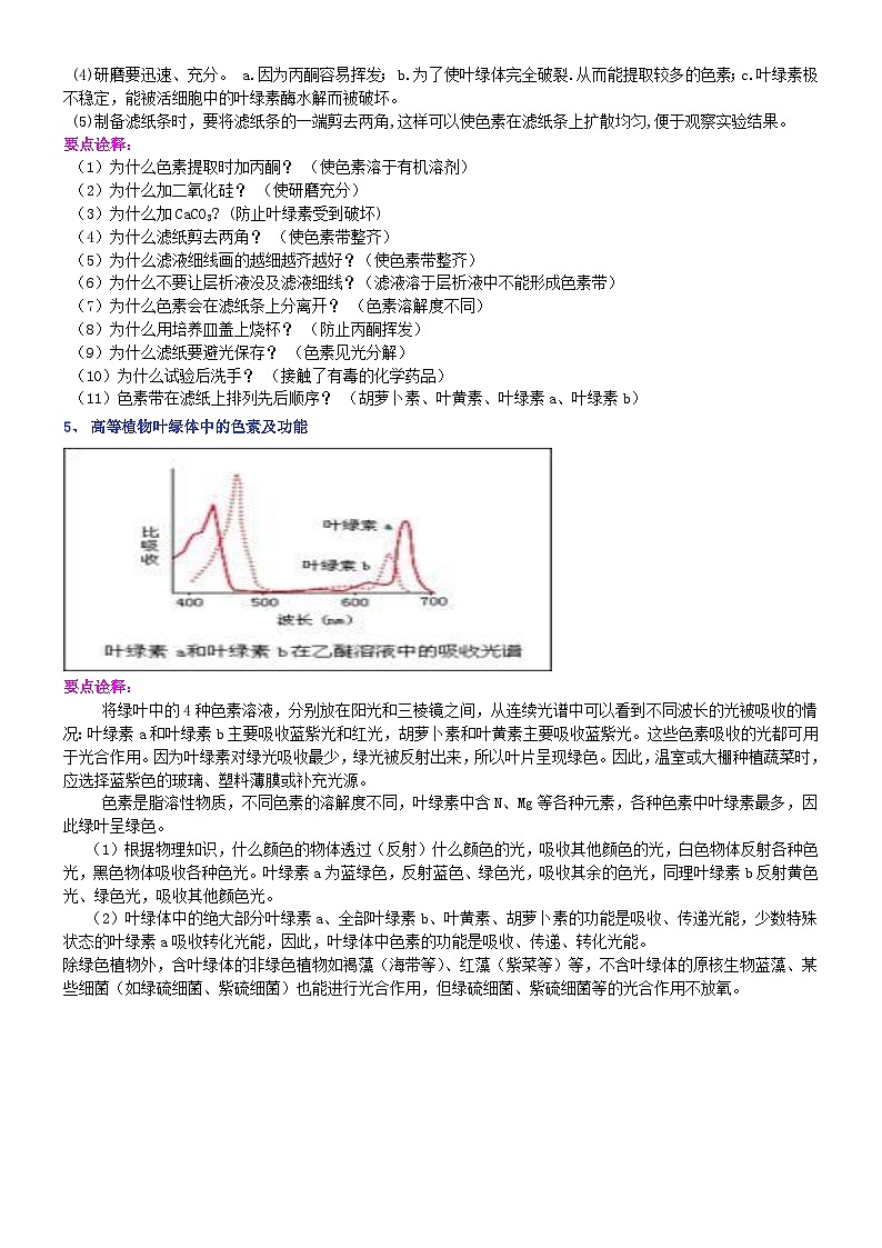 第十讲光合作用（一）捕获光能的色素和结构学案02