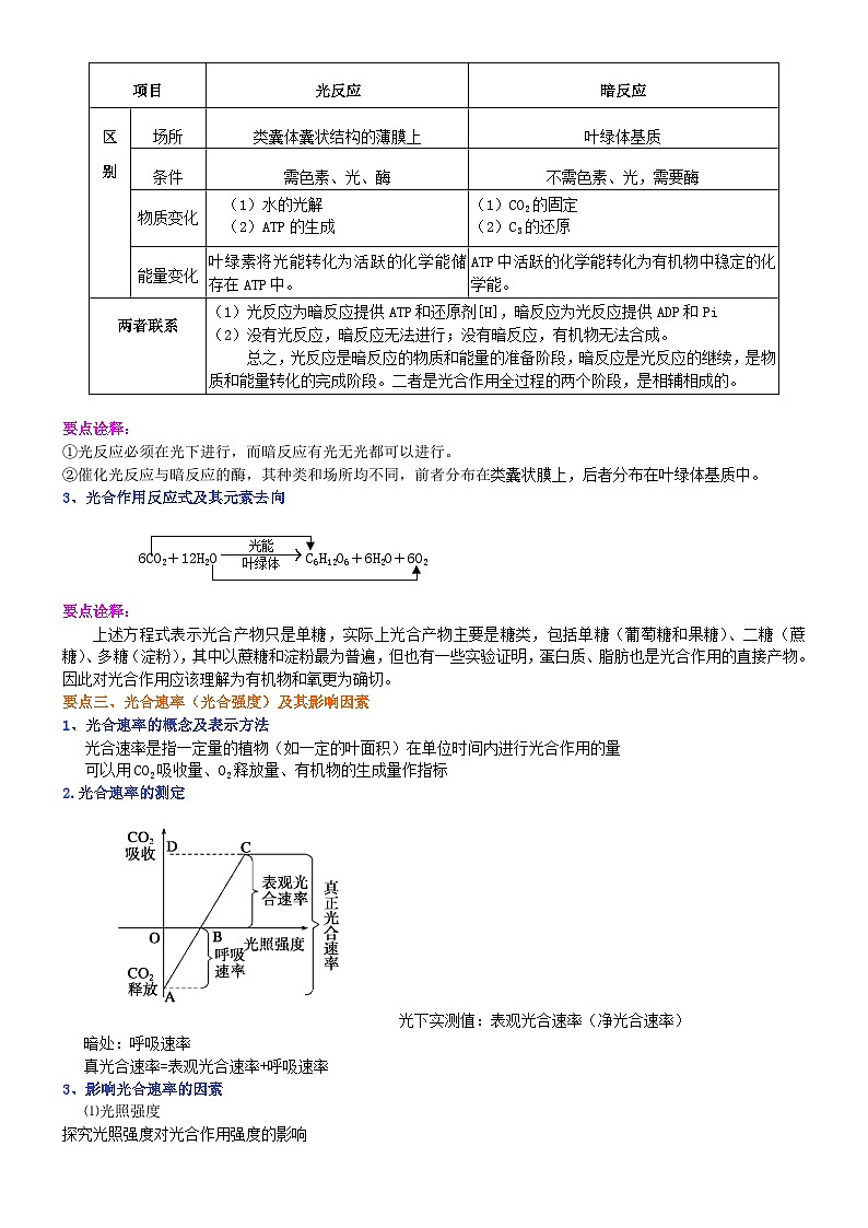 第十一讲光合作用（二）光合作用的原理和应用学案02